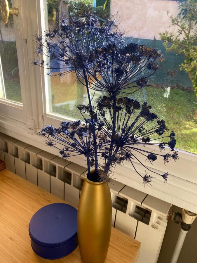 Maison Saint Paul Bnb 라콜레쉬르로 외부 사진