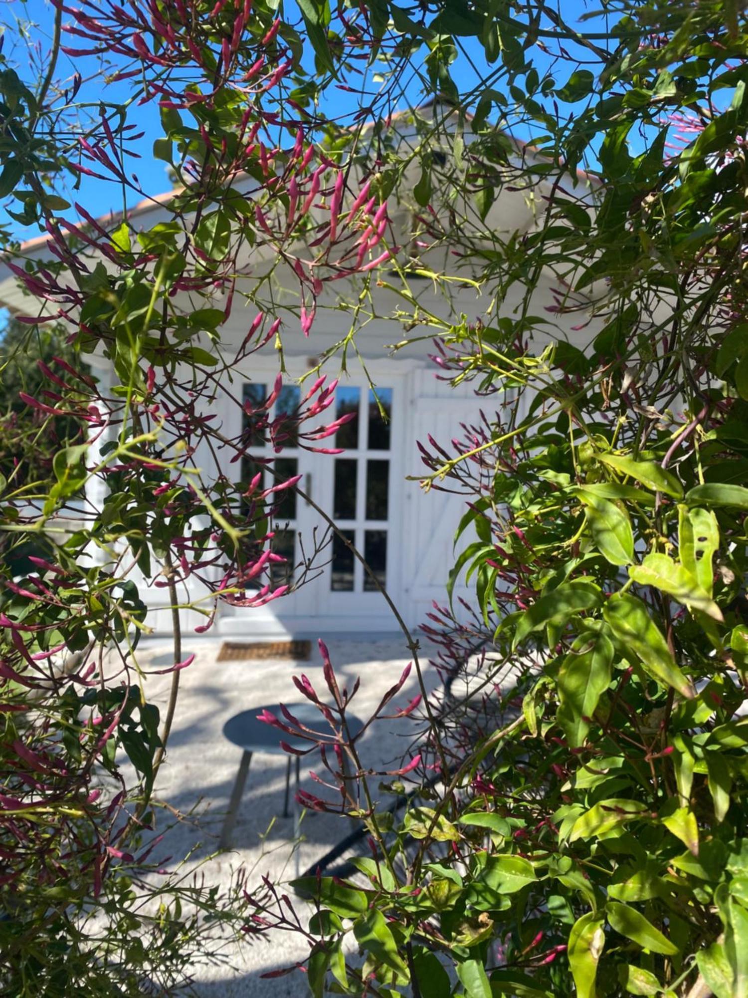Maison Saint Paul Bnb 라콜레쉬르로 외부 사진